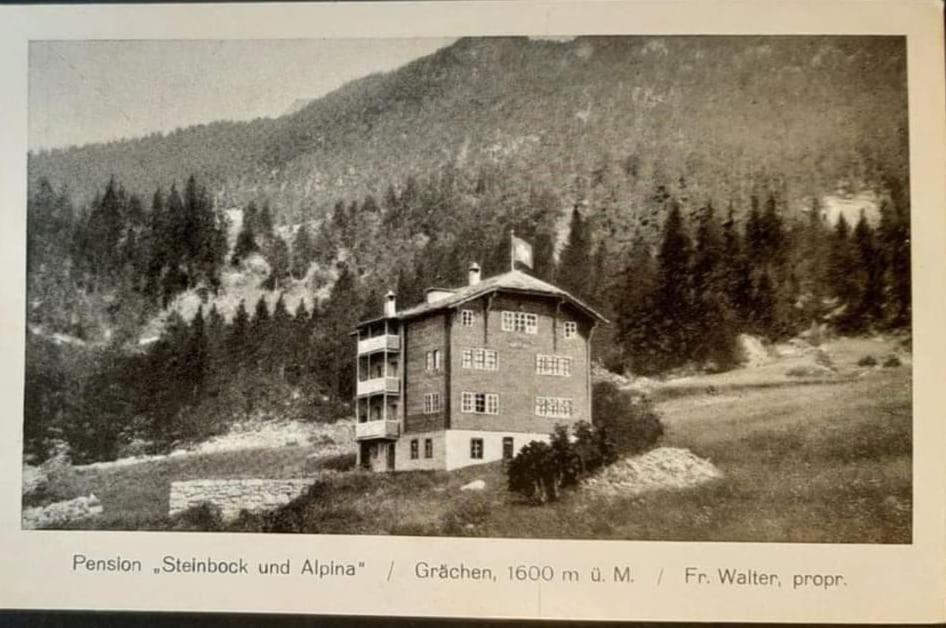 Hotel Alpina Grächen Eksteriør billede